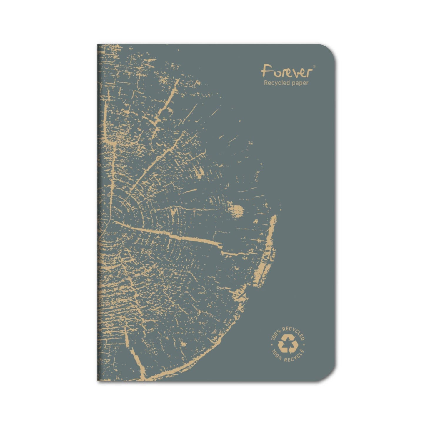 Clairefontaine "Forever" 100% Recycled Notebooks: Staple Spine - Blue