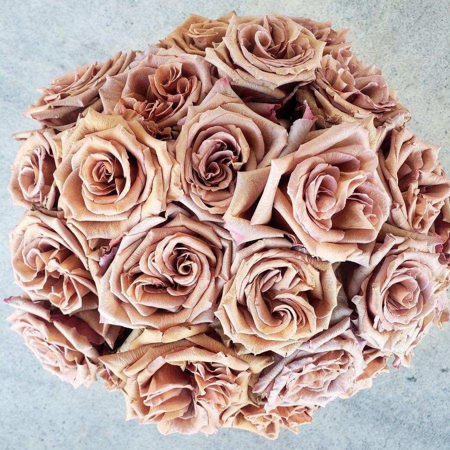 One Dozen Roses for In-Store Pickup