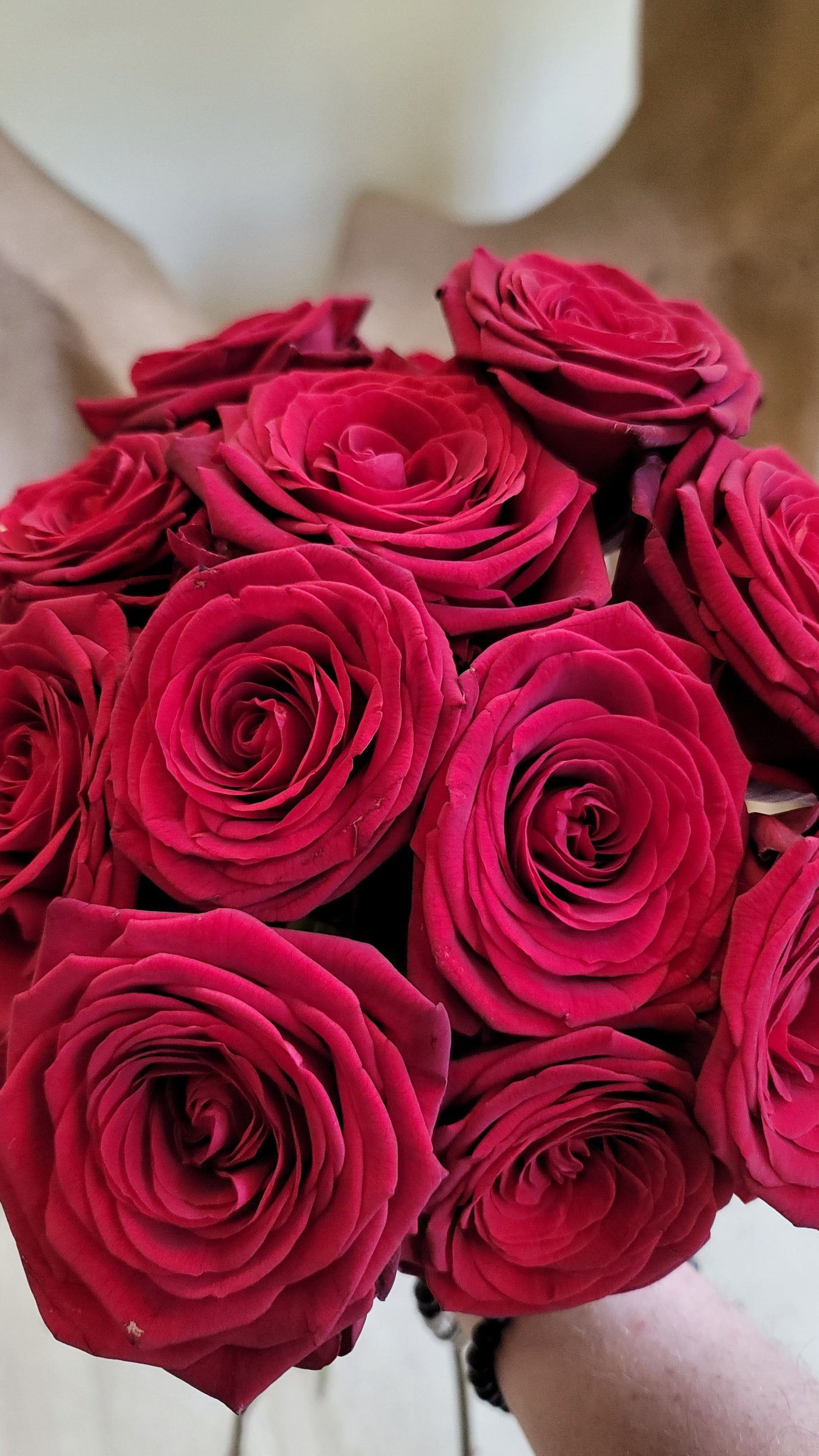 One Dozen Roses for In-Store Pickup