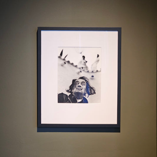 Dali in Port Lligat, 1964, by Philippe Halsman Framed