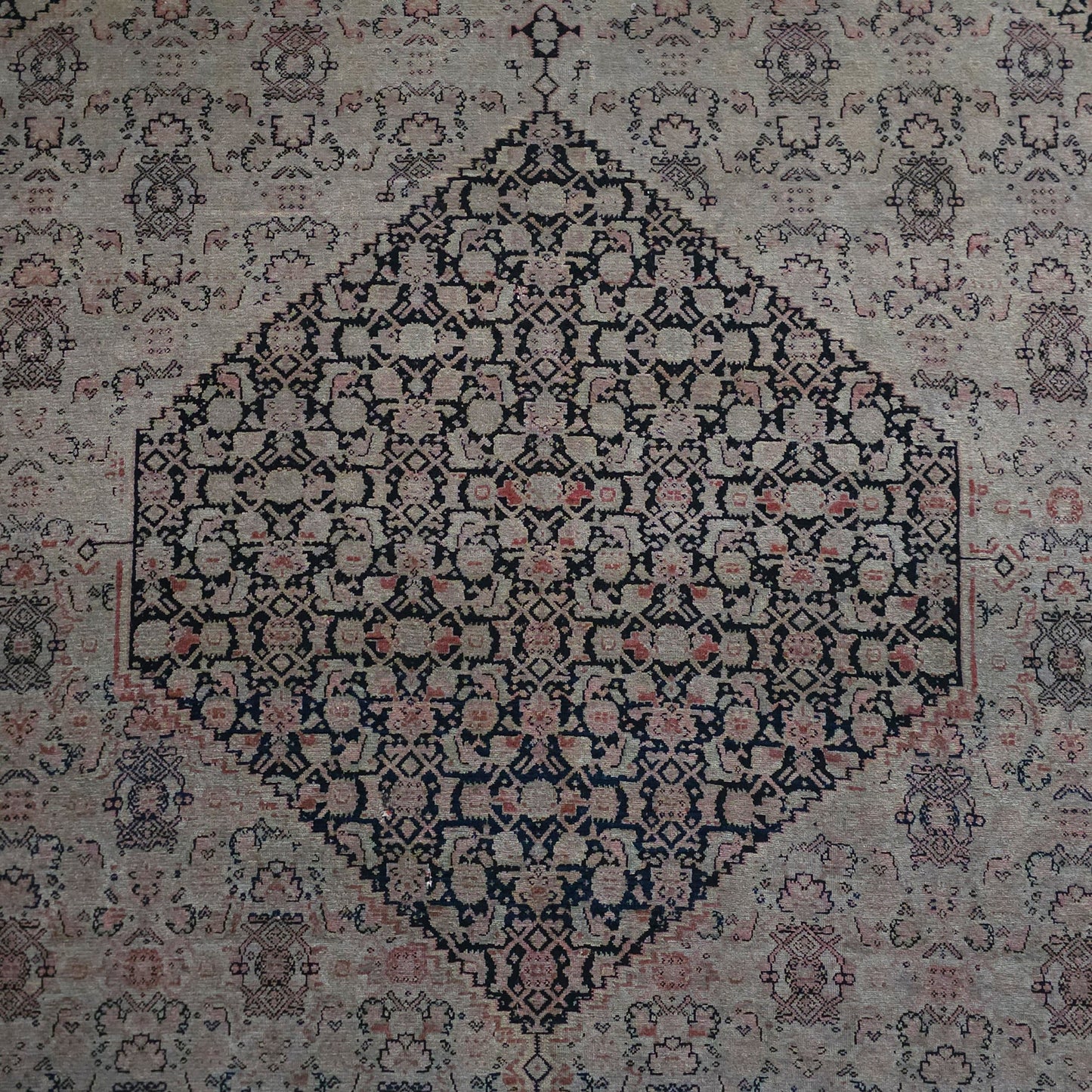 Early 20th Century Persian Area Rug in Rose, Deep Blue & Terracotta