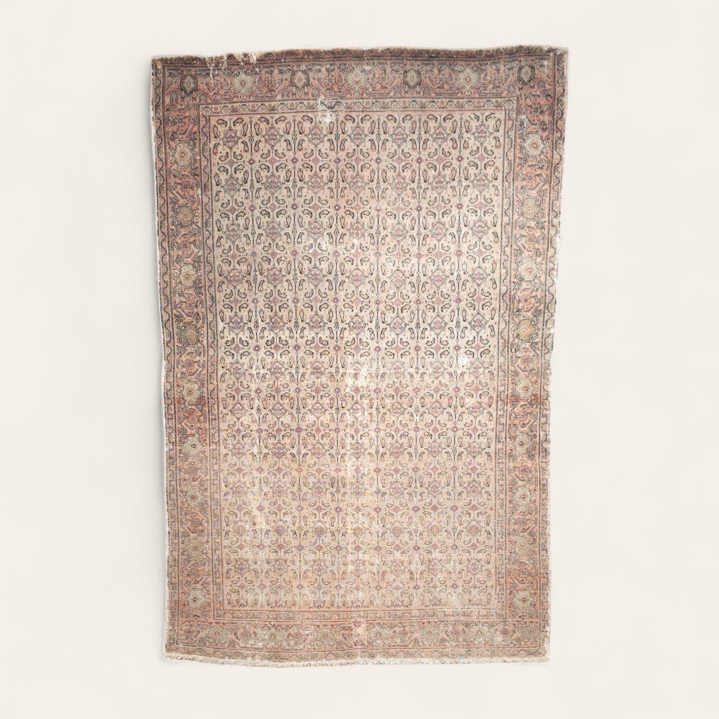 Early 20th Century Persian Rug Hand-Knotted Wool in Rose, Mauve & Terracotta