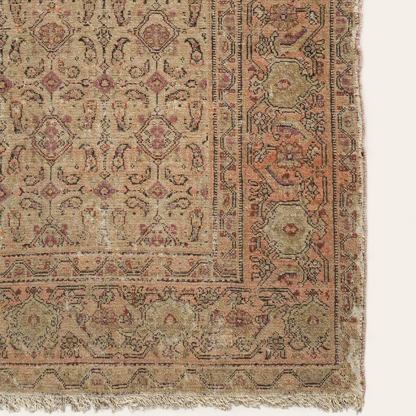 Early 20th Century Persian Rug Hand-Knotted Wool in Rose, Mauve & Terracotta