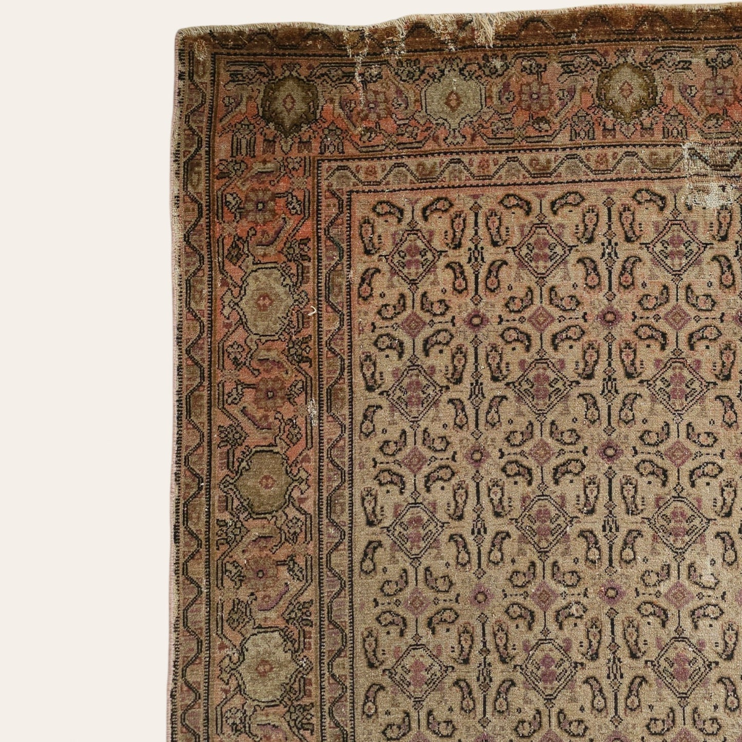 Early 20th Century Persian Rug Hand-Knotted Wool in Rose, Mauve & Terracotta