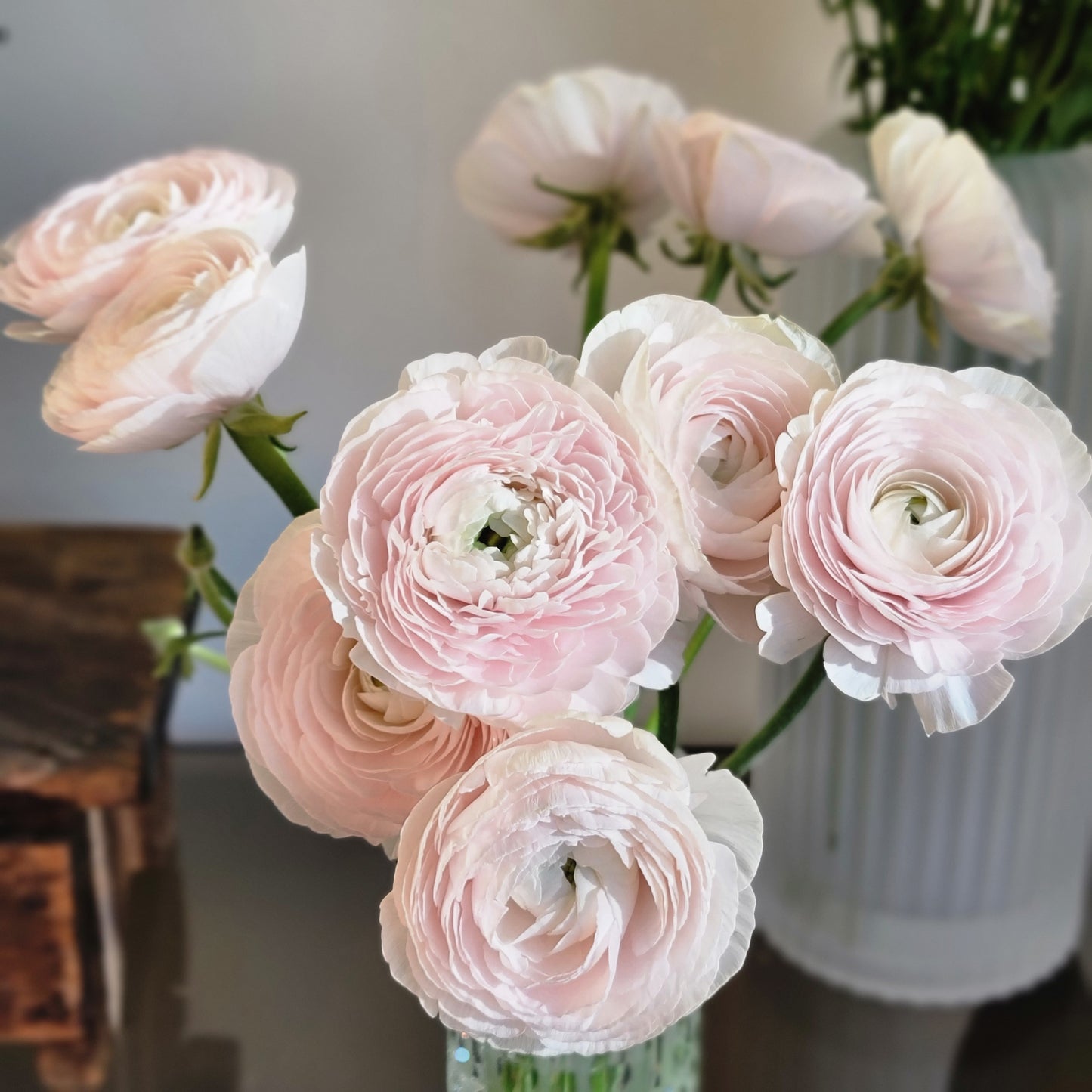 Ranunculus by the Bunch